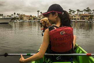 kayaking with dog to see moon jellies in long beach