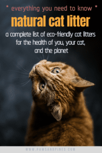 A cat looking backwards with text overlay: everything you need to know - natural cat litter - a complete list of eco-friendly cat litters for the health of you, your cat, and the planet