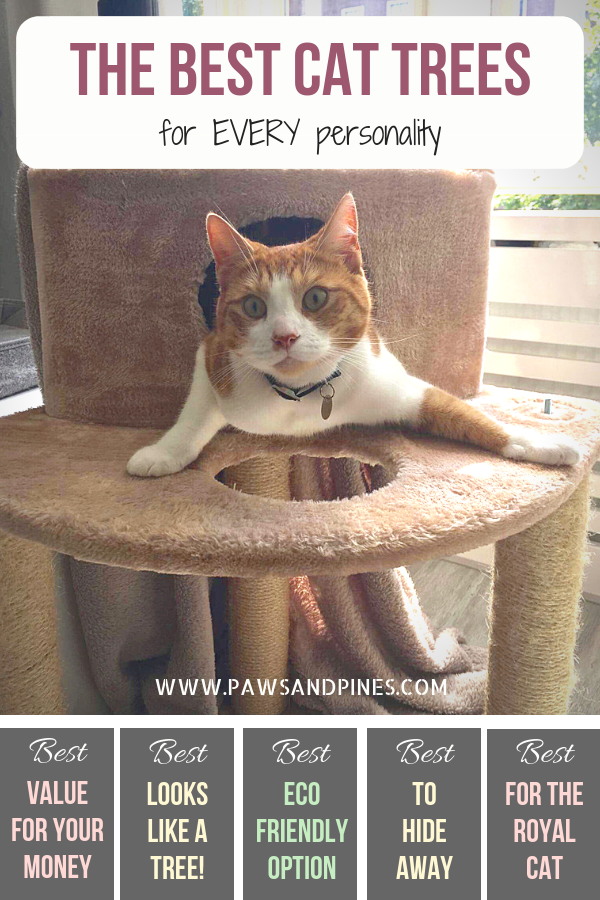 Large cat tree with text overlay: the best cat tree for every personality