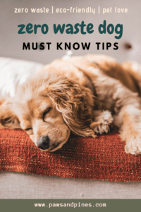 sleepy dog with text overlay: zero waste dog | must know tips